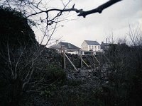 Westport House: view of Quay Road - Lyons0019065.jpg  Westport House: view of Quay Road from inside demesne wall, December 1989. : 198912 Quay Rd for Lord Altamont - view from inside of demesne wall.tif, Lyons collection, Westport House