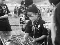 International Boy Scouts in Westport House, July 1968. - Lyons0019146.jpg  International Boy Scouts in Westport House, July 1968. : 19680730 International Boy Scouts in Westport House 9.tif, Lyons collection, Westport House