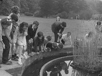 School children from the Quay School Ballina at Westport House, June 1970... - Lyons0019189.jpg  School children from the Quay School Ballina at Westport House, June 1970. : 19700612 School children from the Quay School Ballina at Westport House 2.tif, Lyons collection, Westport House