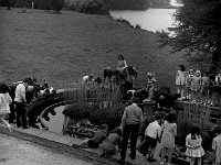 School children from the Quay School Ballina at Westport House, June 1970... - Lyons0019191.jpg  School children from the Quay School Ballina at Westport House, June 1970. : 19700612 School children from the Quay School Ballina at Westport House 4.tif, Lyons collection, Westport House