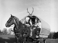 Horse Caravans at Westport House, January 1971.. - Lyons0019208.jpg  Horse Caravans at Westport House, January 1971.