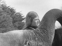 Animals at Westport House, March 1973 - Lyons0019277.jpg  Animals at Westport House, March 1973. Sheelyn Browne with the elephant. : 19730328 Animals at Westport House 1.tif, Lyons collection, Westport House