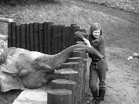 Animals at Westport House, March 1973 - Lyons0019280.jpg  Animals at Westport House, March 1973. The Browne girls with the elephant at Westport House. : 19730328 Animals at Westport House 4.tif, Lyons collection, Westport House