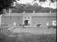 Farm yard, Westport house, August 1974. - Lyons0019350.jpg  Farm yard, Westport house, August 1974.