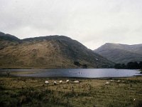 Fishing at Doolough and Delphi . - Lyons0019460.jpg  Fishing at Doolough and Delphi