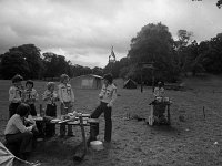 Boy and Girl Scouts in Westport House, July 1976. - Lyons0019481.jpg  Boy and Girl Scouts in Westport House, July 1976.