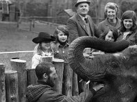 Westport House Zoo, April 1977. - Lyons0019495.jpg  Westport House Zoo, April 1977. : 19770410 Animal trainer with the elephant 2.tif, Lyons collection, Westport House