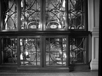 Glass case in the front room, Westport house, September 1978. - Lyons0019547.jpg  Glass case in the front room, westport house, September 1978.