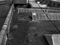 Roof for repair at garden centre at Westport House, August 1983. - Lyons0019624.jpg  Roof for repair at garden centre at Westport House, August 1983. : 19830809 Roof for repair at garden centre at Westport House 3.tif, Lyons collection, Westport House