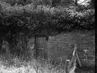 Roof for repair at garden centre at Westport House, August 1983. - Lyons0019625.jpg  Roof for repair at garden centre at Westport House, August 1983. : 19830809 Roof for repair at garden centre at Westport House 4.tif, Lyons collection, Westport House