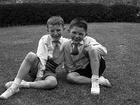 Gannon children, St Patrick's Tce, Westport, 1956. - Lyons0013665.jpg  Gannon children, St Patrick's Tce, Westport, 1956. : 1956 Gannon children.tif, 1956 Misc, Lyons collection, Westport