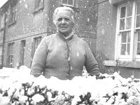 Mrs O' Dowd in the snow, Westport, 1956.. - Lyons0013686.jpg  Mrs O' Dowd in the snow, Westport, 1956. : 1956 Misc, 1956 Mrs O' Dowd in the snow.tif, Lyons collection, Westport