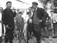 Large pike caught by a visiting angler, Westport 1961. - Lyons0013828.jpg  Large pike caught by a visiting angler at left. At right Pat Mc Neela, gilly, the Boulevard, the Mall Westport. at extreme left " Jazzer " Mcgreal, butcher, Bridge st. Centre of photo Marty McGreal Jazzer's cousin, also a butcher. 1961. : 1961 Visiting angler 2.tif, Lyons collection, Westport