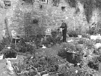 Frances Trimmer's garden centre, July 1980... - Lyons0014063.jpg  Frances Trimmer's garden centre, July 1980. : 198007 Frances Trimmer.tif, Lyons collection, Westport