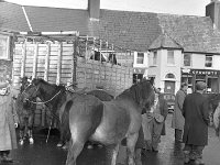 Pony fair on the streets of Westport, August 1965.. - Lyons0014491.jpg  Pony fair on the streets of Westport, August 1965. : 19650826 Pony Fair in Westport 9.tif, Lyons collection, Westport
