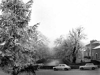 Winter frost in Westport, January 1969. - Lyons0014551.jpg  Winter frost in Westport, January 1969. : 19690106 Winter frost in Westport.tif, Lyons collection, Westport