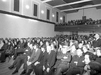 Official Opening of the Town Hall, Westport, April 1973. - Lyons0014809.jpg  The large attendance at the Official Opening of the Town Hall, Westport, April 1973. : 19730429 Official Opening of the Town Hall 4.tif, Lyons collection, Westport