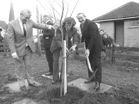 Opening of the Mc Bride Home in St Mary's Crescent Westport, December 1974 - Lyons0014898.jpg  Opening of the Mc Bride Home in St Mary's Crescent Westport, December 1974and mass afterwards in St. Mary's Church. At right Henry Kenny TD Minister and his son Enda TD at the planting of a tree at the Mc Bride Home. : 19741230 Opening of the Mc Bride Home 8.tif, Lyons collection, Westport
