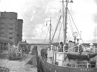 Ship being loaded at the quay, Westport, July 1976. - Lyons0014944.jpg  Ship being loaded at the quay, Westport, July 1976. : 19760717 Ship at the Quay 1.tif, Lyons collection, Westport