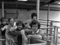 Westport mart, July 1976.. - Lyons0014948.jpg  Three farmers; at left Acee Noonan, Aughagower and two young farmers.Westport mart, July 1976. : 19760726 Westport Mart 3.tif, Farmers Journal, Lyons collection, Westport