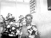 Brenda Gibson in her new flower shop on Mill St Westport. December 1986. - Lyons0015371.jpg  Brenda Gibson in her new flower shop on Mill St Westport. December 1986. : 19861201 Brenda Gibson.tif, 19861201 Florist 2.tif, Lyons collection, Westport