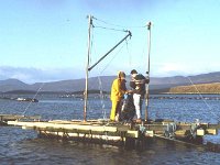 Working on the Abelone platform, 1989. - Lyons0015536.jpg  Working on the Abelone platform. Story by Sonia Kelly, the " Ear of the Sea " for the Irish Farmers Journal. Story of John Henesy and Michael Molloy's Abelone shellfish production in Clew Bay. January 1989. : 19890117 Abelone Shellfish Production in Clew Bay 1.tif, Farmers Journal, Lyons collection, Westport