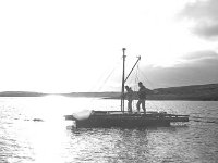 Working on the Abelone platform, 1989. - Lyons0015541.jpg  Story by Sonia Kelly, the " Ear of the Sea " for the Irish Farmers Journal. Story of John Henesy and Michael Molloy's Abelone shellfish production in Clew Bay. January 1989. : 19890117 Abelone Shellfish Production in Clew Bay 6.tif, Farmers Journal, Lyons collection, Westport