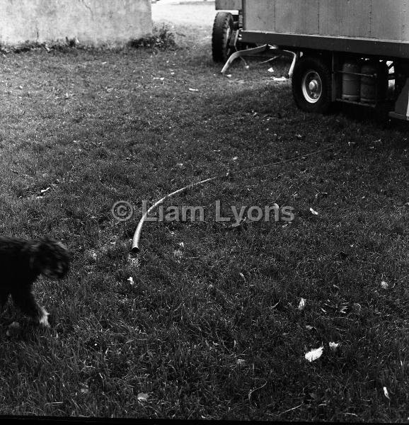 Photos for Anti - Carnival Committee, Castlebar, September 1965 