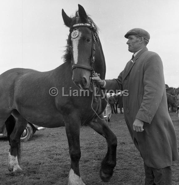 Castlebar Agricultural Show , September 1965.