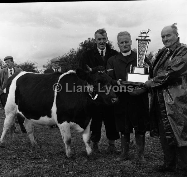 Castlebar Agricultural Show , September 1965.