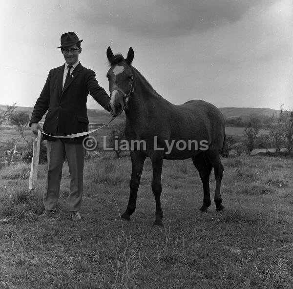 Paddy Joe Foy & Connemara pony, 1966