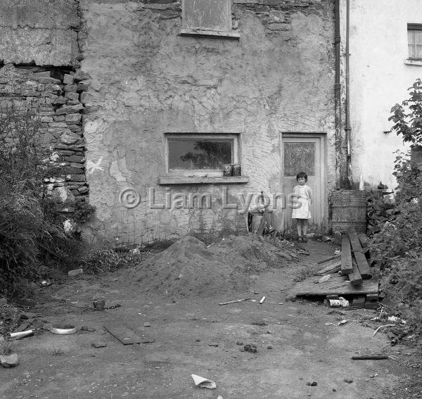 T Giblin's backyard High St Westport,  August 1967