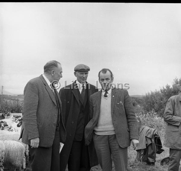 Louisburgh Show,  August 1967