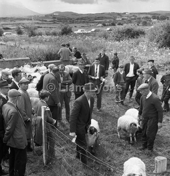 Louisburgh Show,  August 1967