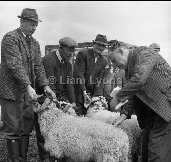 Louisburgh Show,  August 1967