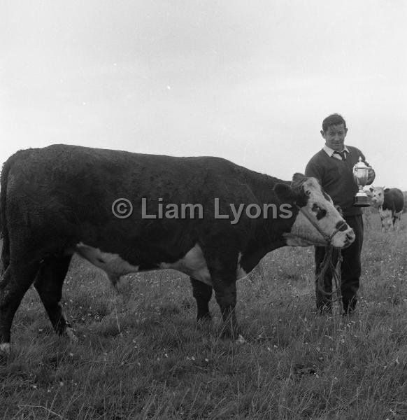 Louisburgh Show,  August 1967