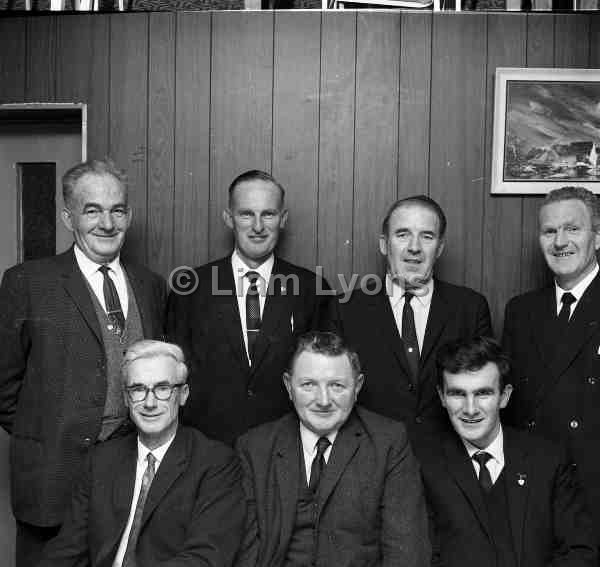 Mayo Sheep Breeders in Clew Bay