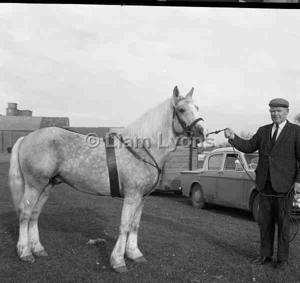 John Cawley & his horse