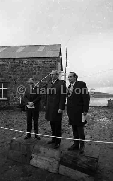 Denis Gallagher TD speaking at the opening of BIM Co-op