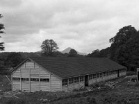 1961 Building of Westport Christian Brothers School - Lyons0000188.jpg  1961 Building of Westport Christian Brothers School exterior : Brothers, Building, Christian, exterior, School, Westport