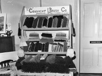 Connaught Brush Company Display, 1965 - Lyons0000278.jpg  Connaught Brush Company Display, 1965 : Brush, collection, Company, Connaught