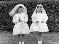 Holy Communion children Quay Road , 1965 - Lyons0000321.jpg  Holy Communion children Quay Road , 1965 : children, collection, Communion, Holy, Quay, Road