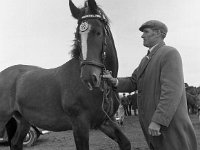 Castlebar Agricultural Show , September 1965. - Lyons0000452.jpg  Castlebar Agricultural Show , September 1965 : Agricultural, Castlebar, collection, Show