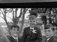 Joesph Fitzpatrick's First Holy Communion, 1966 - Lyons0000481.jpg  Joesph Fitzpatrick's First Holy Communion, 1966 : First, Fitzpatrick's, Holy, Joesph, Lyons