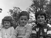 James O' Connell's children , September 1966 - Lyons0000614.jpg  James O' Connell's children , September 1966 : children, Connell's, James, Lyons