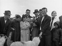 Louisburgh Show,  August 1967 - Lyons0000851.jpg  Louisburgh Show,  August 1967 : Louisburg, Louisburgh, Show