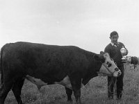 Louisburgh Show,  August 1967 - Lyons0000856.jpg  Louisburgh Show,  August 1967 : Louisburg, Louisburgh, Show