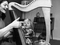 Deirdre O' Callaghan - singer & harpist - Lyons0001112.jpg  Deirdre O' Callaghan - singer & harpist Original folder, 1968 Misc : Deirdre O'Callaghan
