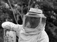 Edward Walsh Manulla - Beekeeper - Lyons0001130.jpg  Edward Walsh Manulla - Beekeeper Original folder, 1968 Misc : Beekeeper, Edward Walsh