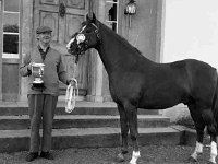 Lady Reiss' horses Crossmolina. - Lyons0001142.jpg  Lady Reiss' horses Crossmolina. Original folder, 1968 Misc : Crossmolina, Lady Reiss